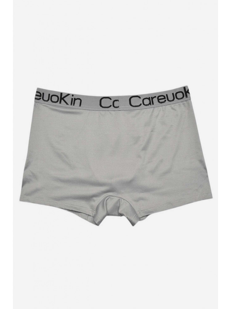 Боксери чоловічі сірого кольору А1368 209522C