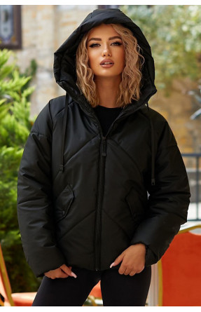 Куртка женская демисезонная черного цвета 295 209524C