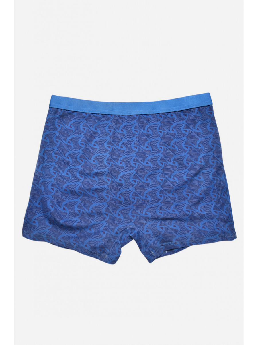 Боксеры мужские синего цвета с принтом 7204 209689C