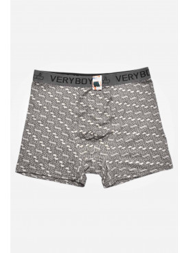 Боксери чоловічі сірого кольору 6223 209697C