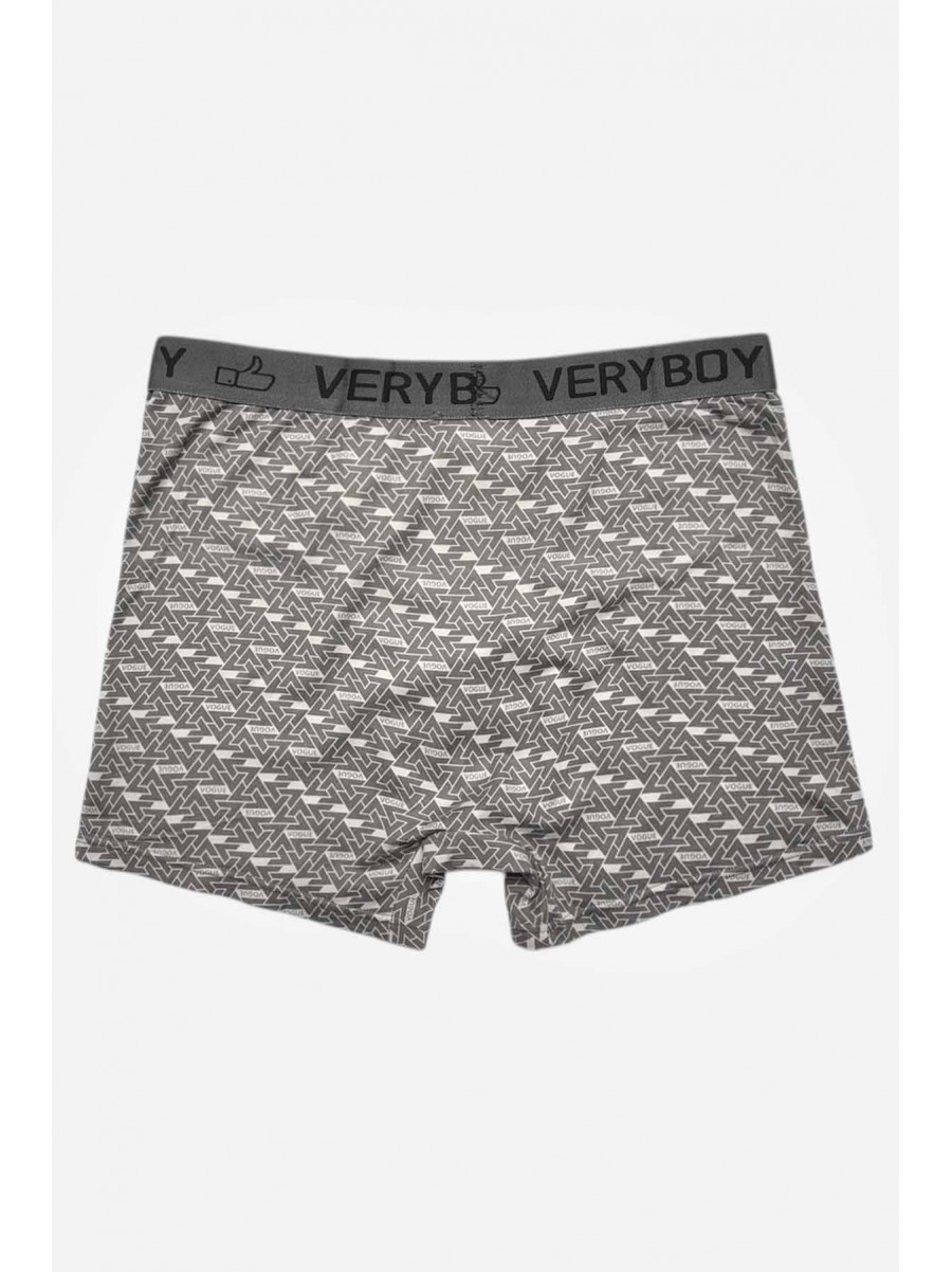 Боксеры мужские серого цвета 6223 209697C