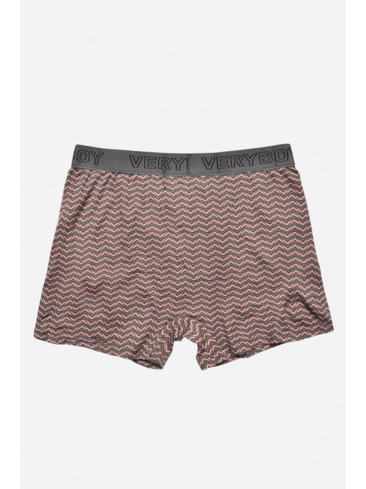 Боксеры мужские серого цвета 6210 209699C