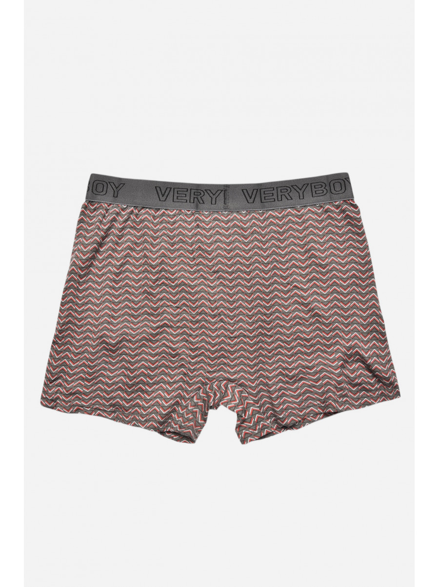 Боксеры мужские серого цвета 6210 209699C