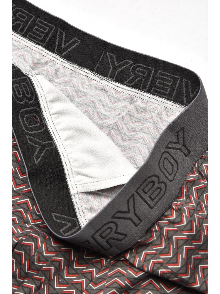 Боксеры мужские серого цвета 6210 209699C