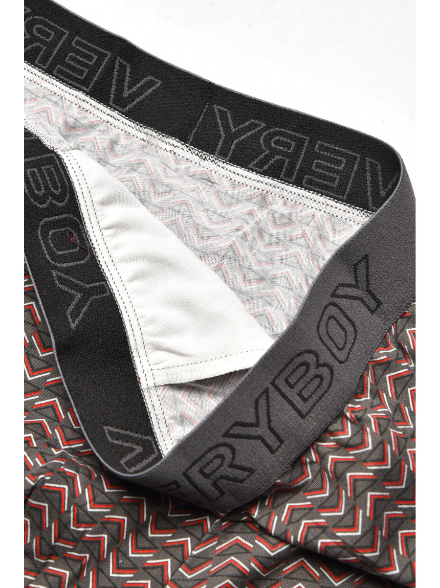 Боксеры мужские серого цвета 6210 209699C