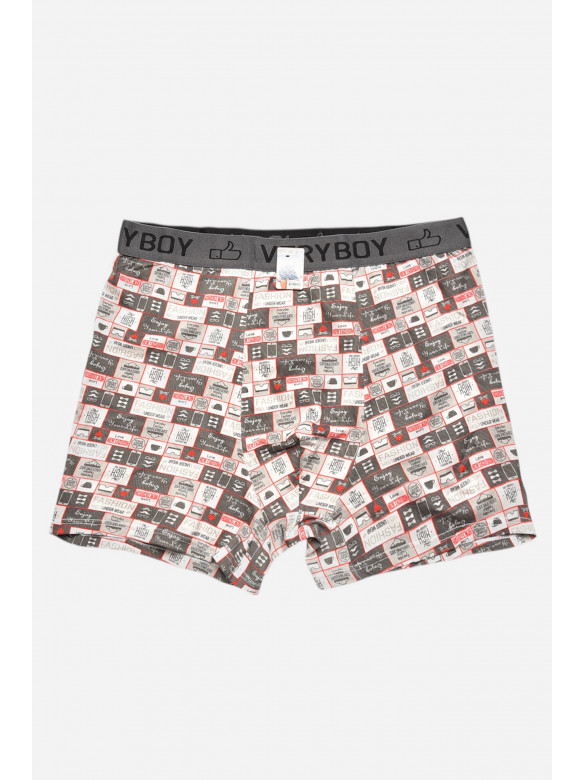 Боксеры мужские серого цвета 6203 209701C