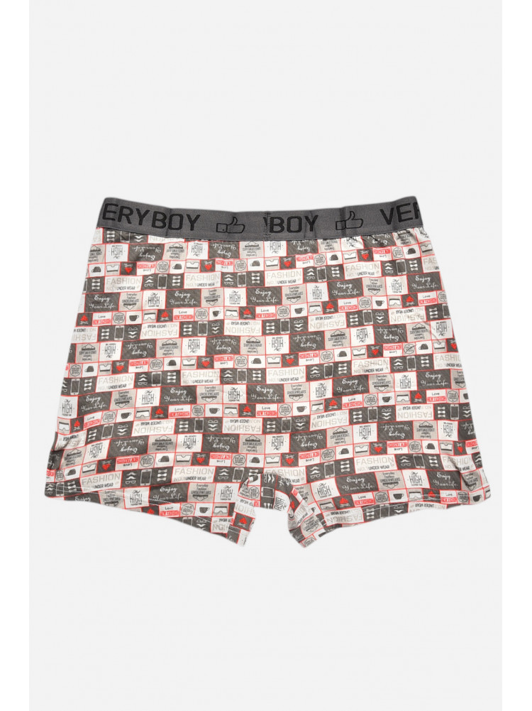 Боксеры мужские серого цвета 6203 209701C