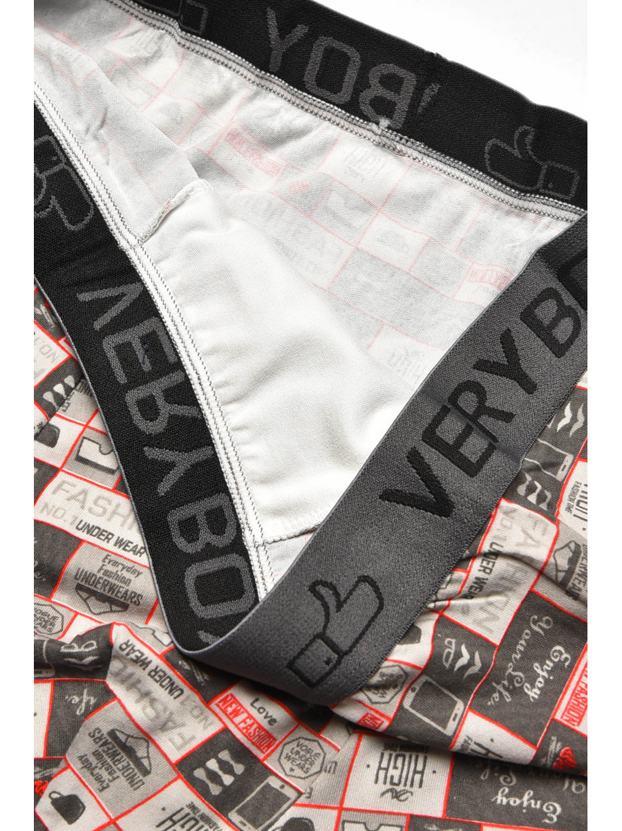 Боксеры мужские серого цвета 6203 209701C