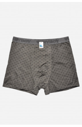 Боксеры мужские серого цвета 6218 209706C