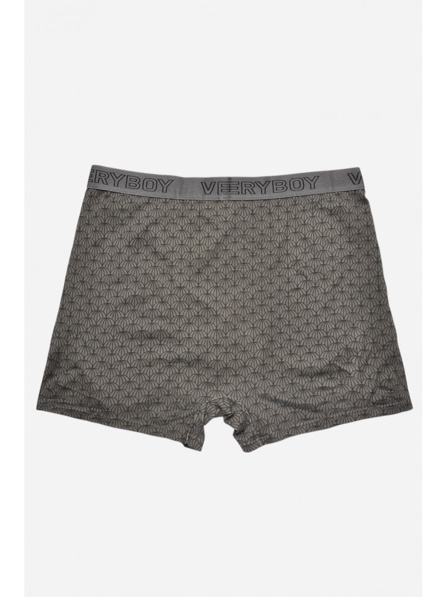 Боксеры мужские серого цвета 6218 209706C