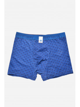 Боксеры мужские синего цвета 6218 209707C