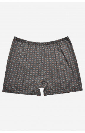 Трусы семейные мужские батальные темно-серого цвета 209720C