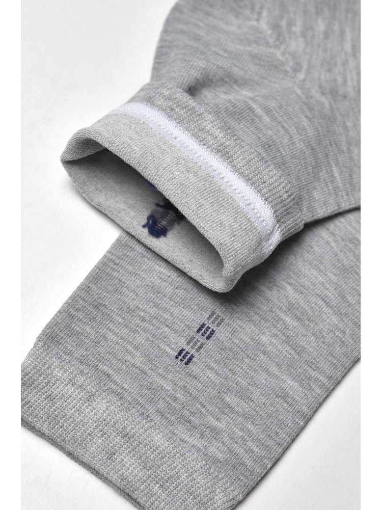 Шкарпетки чоловічі демісезонні сірого кольору YH24-2 209744C