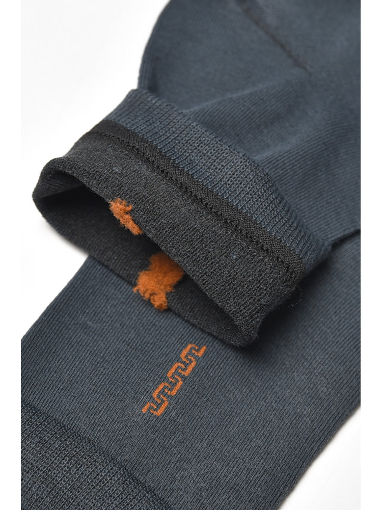 Шкарпетки чоловічі демісезонні темно-синього кольору YH24-02 209750C