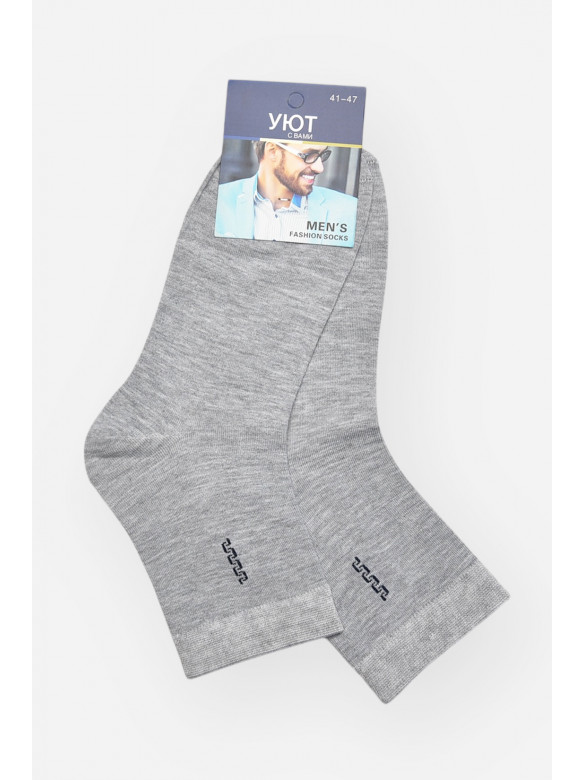 Шкарпетки чоловічі демісезонні сірого кольору YH24-02 209753C