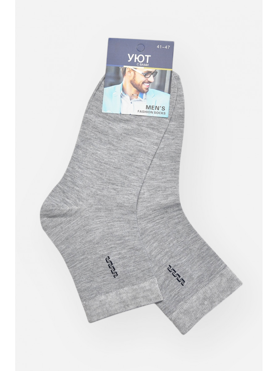 Шкарпетки чоловічі демісезонні сірого кольору YH24-02 209753C