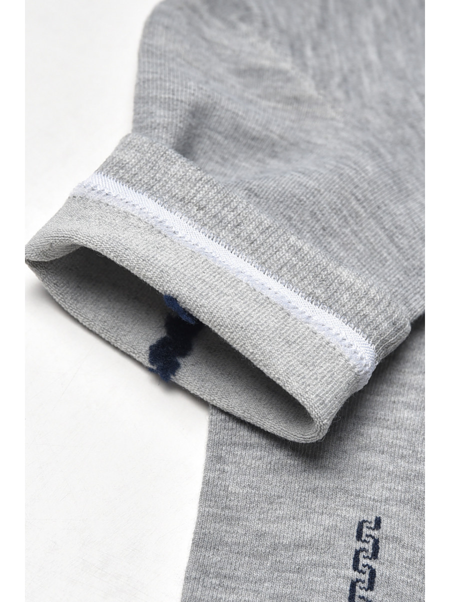 Шкарпетки чоловічі демісезонні сірого кольору YH24-02 209753C