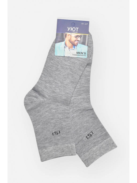 Шкарпетки чоловічі демісезонні сірого кольору YH24-11 209755C