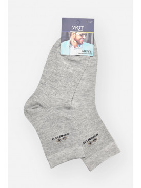 Шкарпетки чоловічі демісезонні сірого кольору YH24-16 209759C