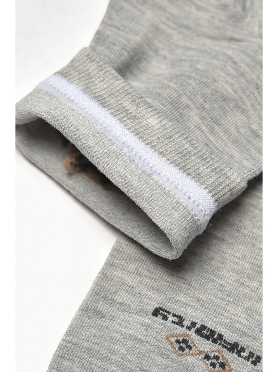 Шкарпетки чоловічі демісезонні сірого кольору YH24-16 209759C