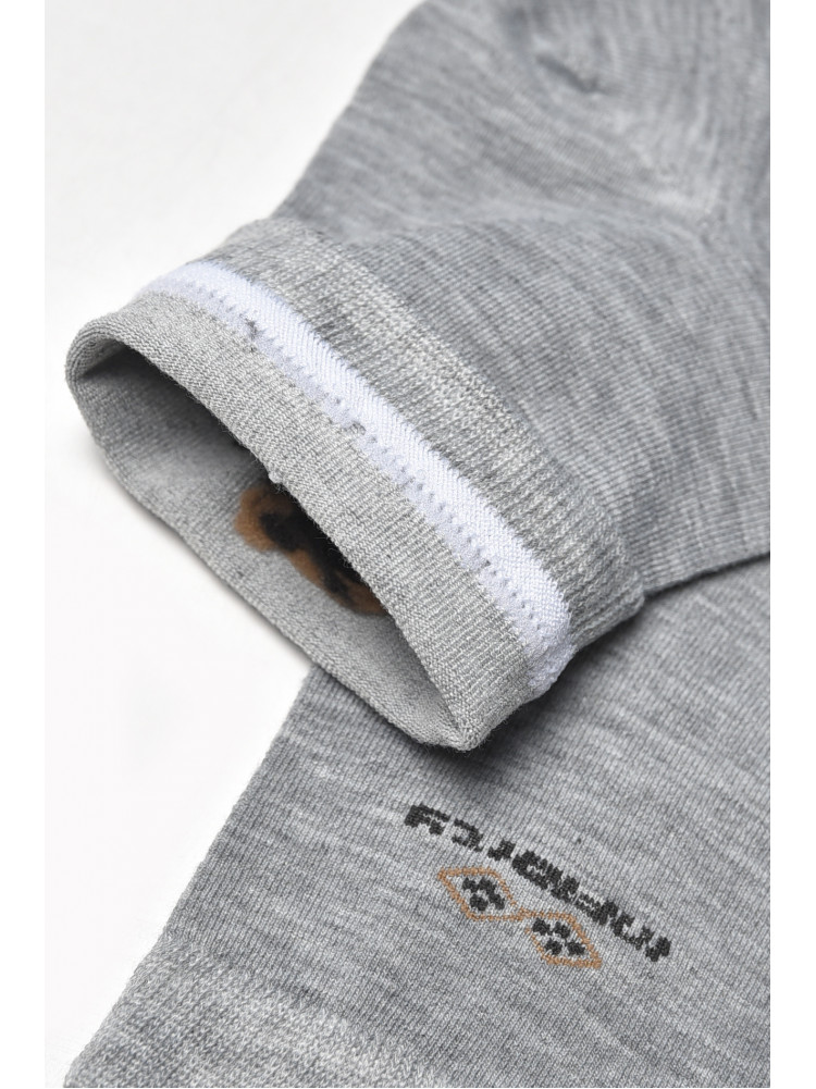 Шкарпетки чоловічі демісезонні сірого кольору YH24-16 209764C