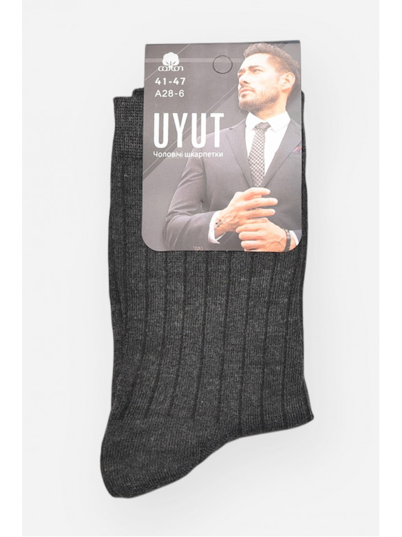 Шкарпетки чоловічі демісезонні темно-сірого кольору А28-6 209766C