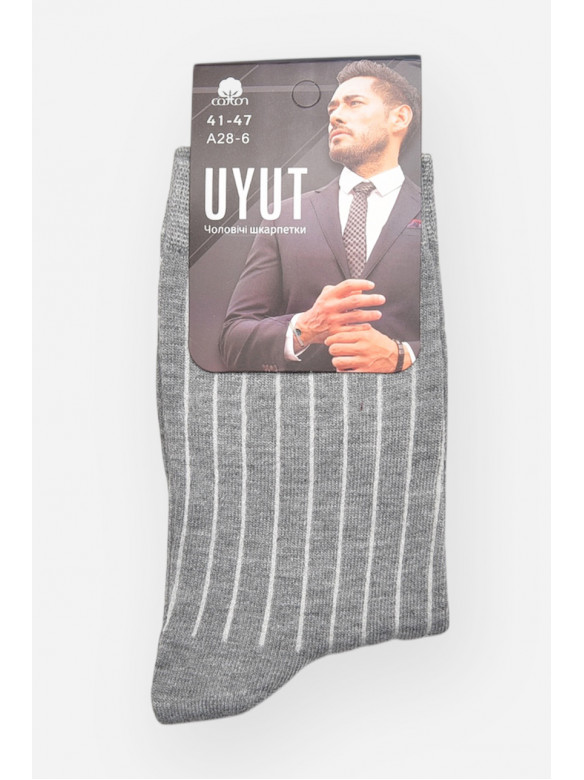 Шкарпетки чоловічі демісезонні сірого кольору А28-6 209768C