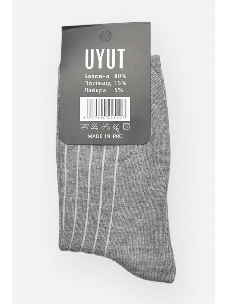 Шкарпетки чоловічі демісезонні сірого кольору А28-6 209768C