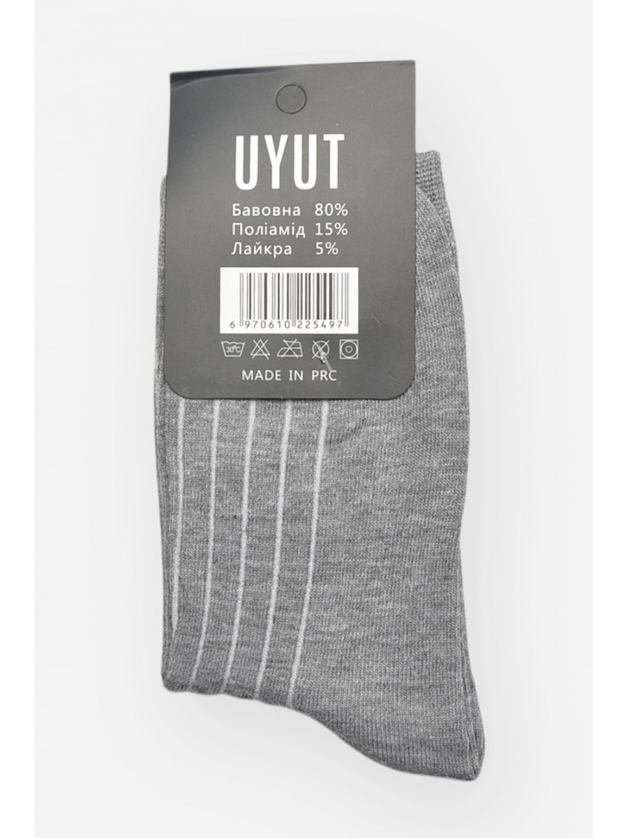 Шкарпетки чоловічі демісезонні сірого кольору А28-6 209768C