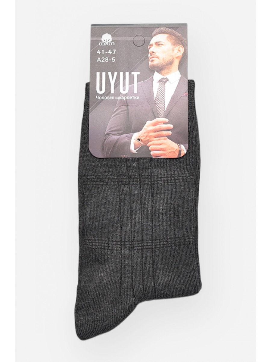Носки мужские демисезонные тёмно-серого цвета А28-5 209773C