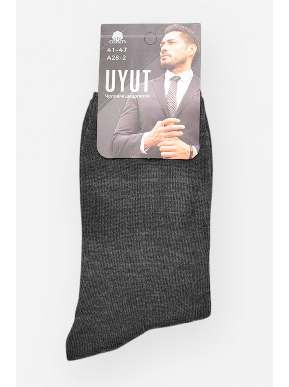 Носки мужские демисезонные тёмно-серого цвета А28-2 209776C