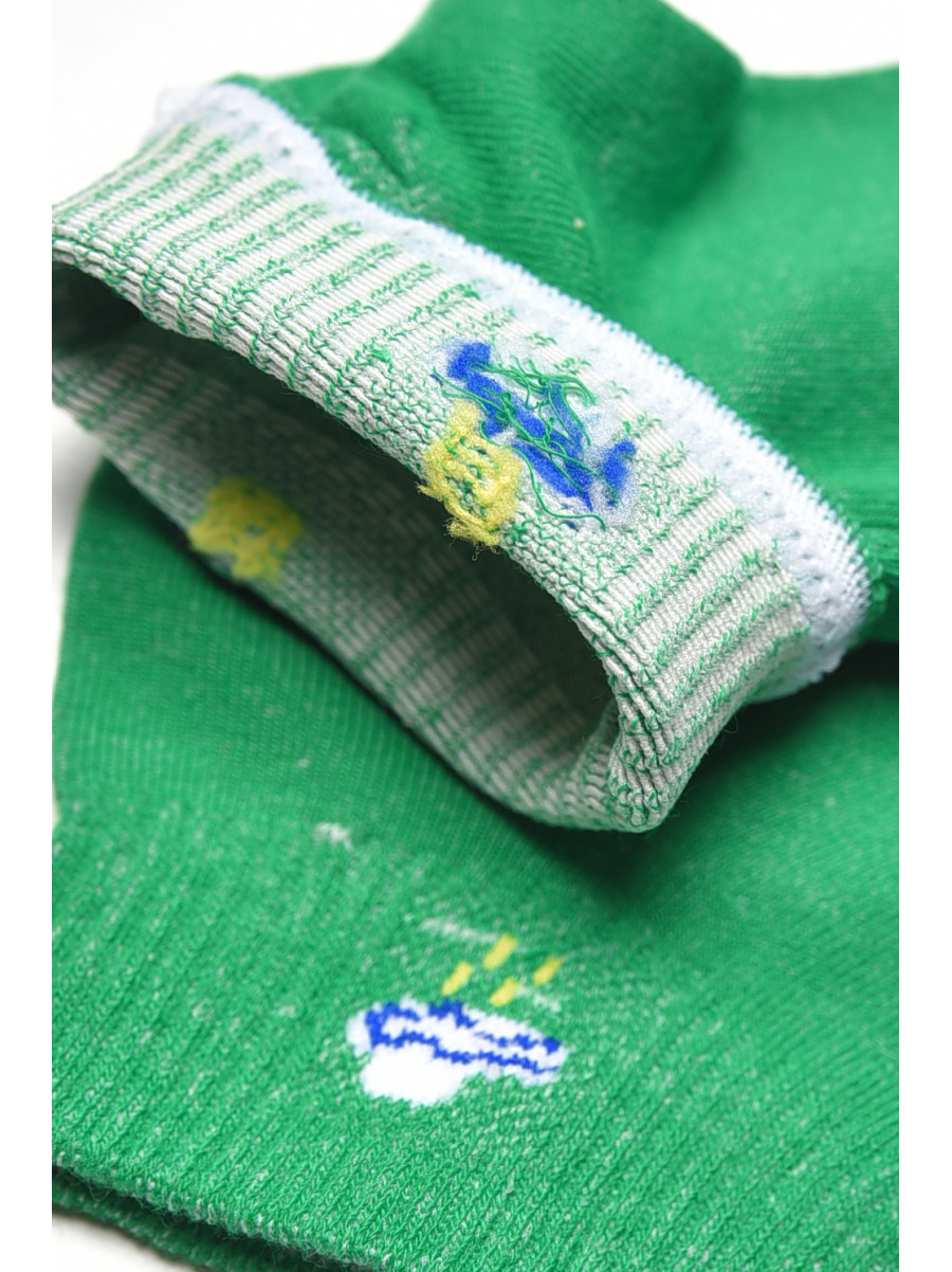 Шкарпетки жіночі демісезонні зеленого кольору YH22-06 209801C