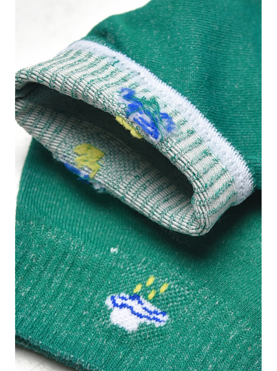 Шкарпетки жіночі демісезонні зеленого кольору YH22-06 209806C