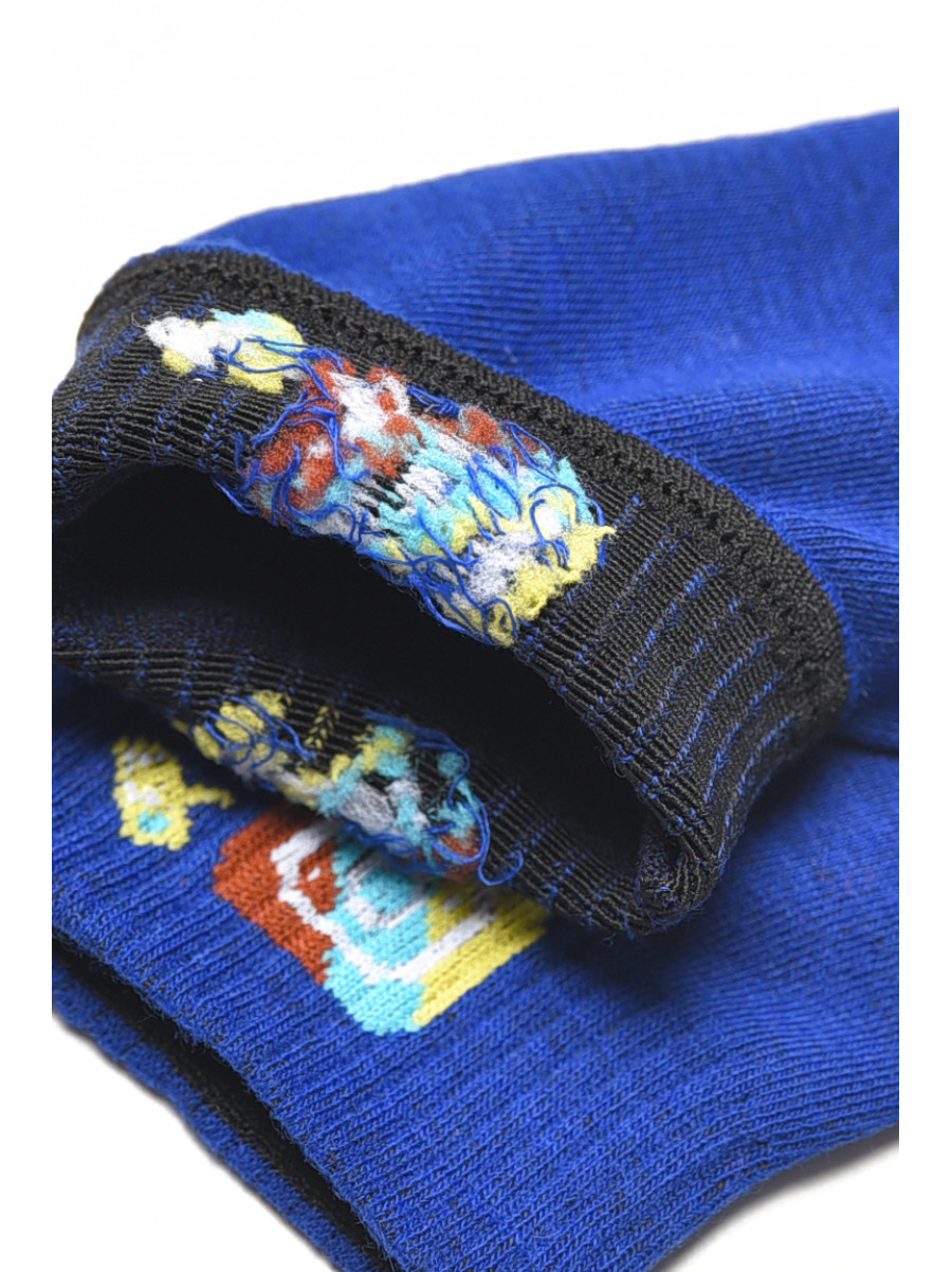 Шкарпетки жіночі демісезонні синього кольору YH22-12 209807C