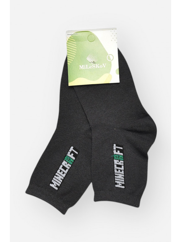 Шкарпетки дитячі демісезонні темно-сірого кольору L339 209824C