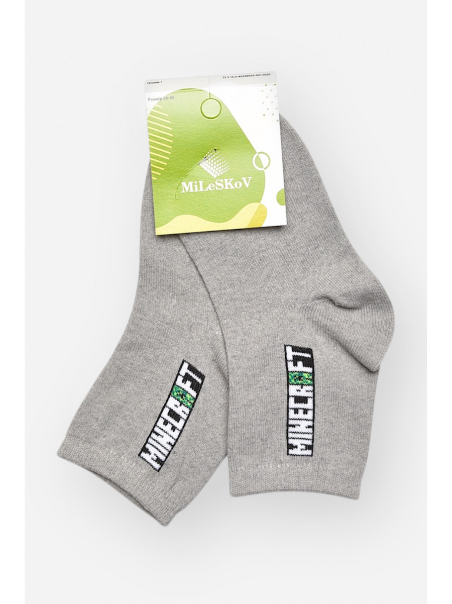 Шкарпетки дитячі демісезонні сірого кольору L339 209826C