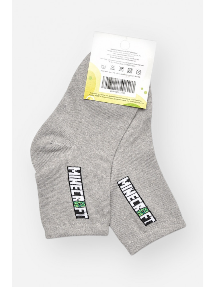 Шкарпетки дитячі демісезонні сірого кольору L339 209826C