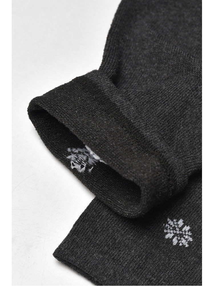 Носки мужские демисезонные тёмно-серого цвета L191 209838C