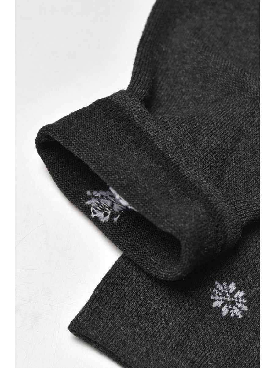 Носки мужские демисезонные тёмно-серого цвета L191 209838C