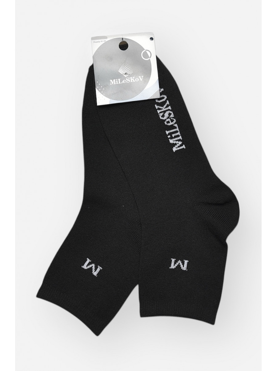 Носки мужские демисезонные черного цвета L181 209845C