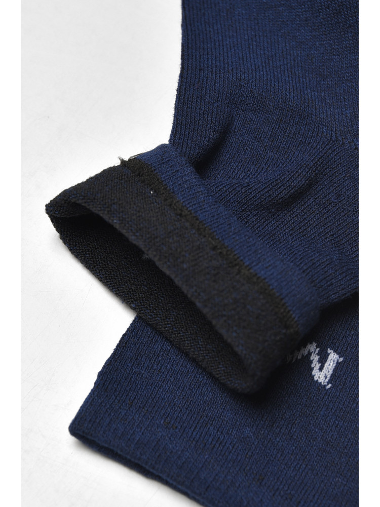 Носки мужские демисезонные синего цвета L181 209846C