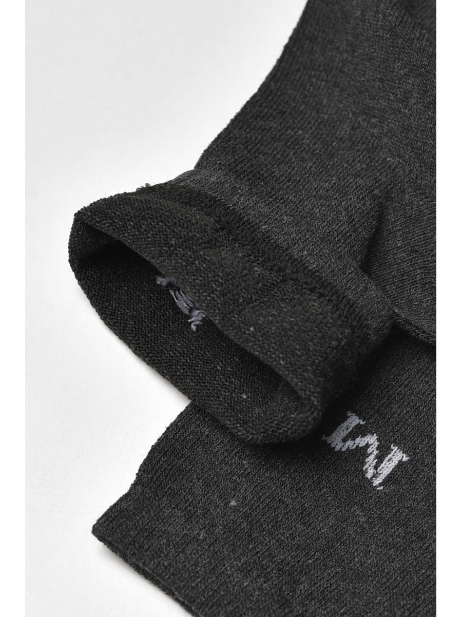 Носки мужские демисезонные тёмно-серого цвета L181 209847C