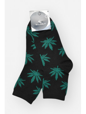 Шкарпетки чоловічі демісезонні чорного кольору L167 209848C