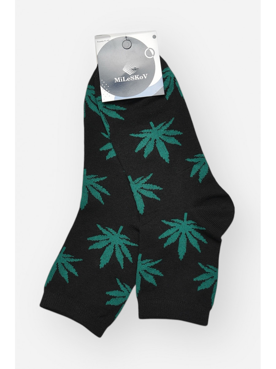 Носки мужские демисезонные черного цвета L167 209848C