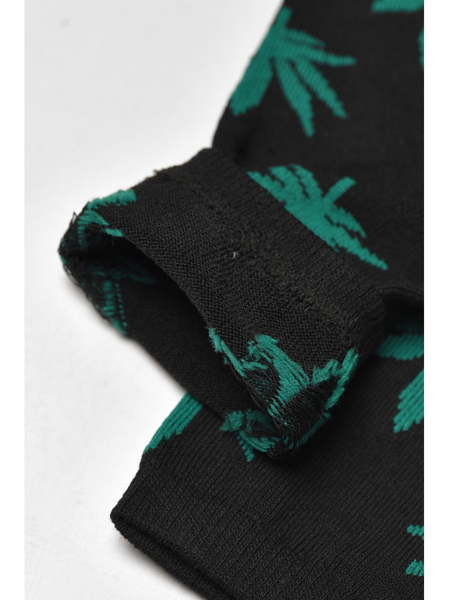 Носки мужские демисезонные черного цвета L167 209848C