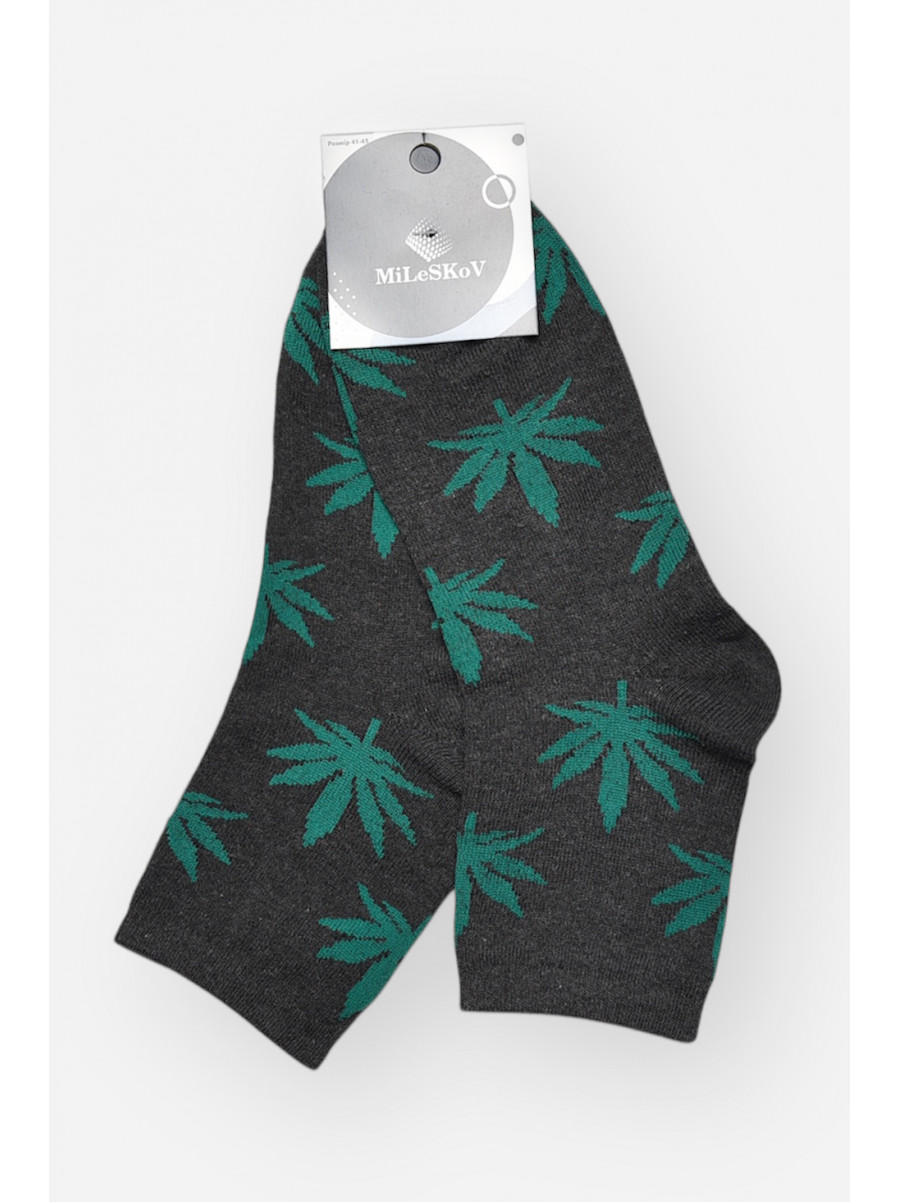 Носки мужские демисезонные серого цвета L167 209849C