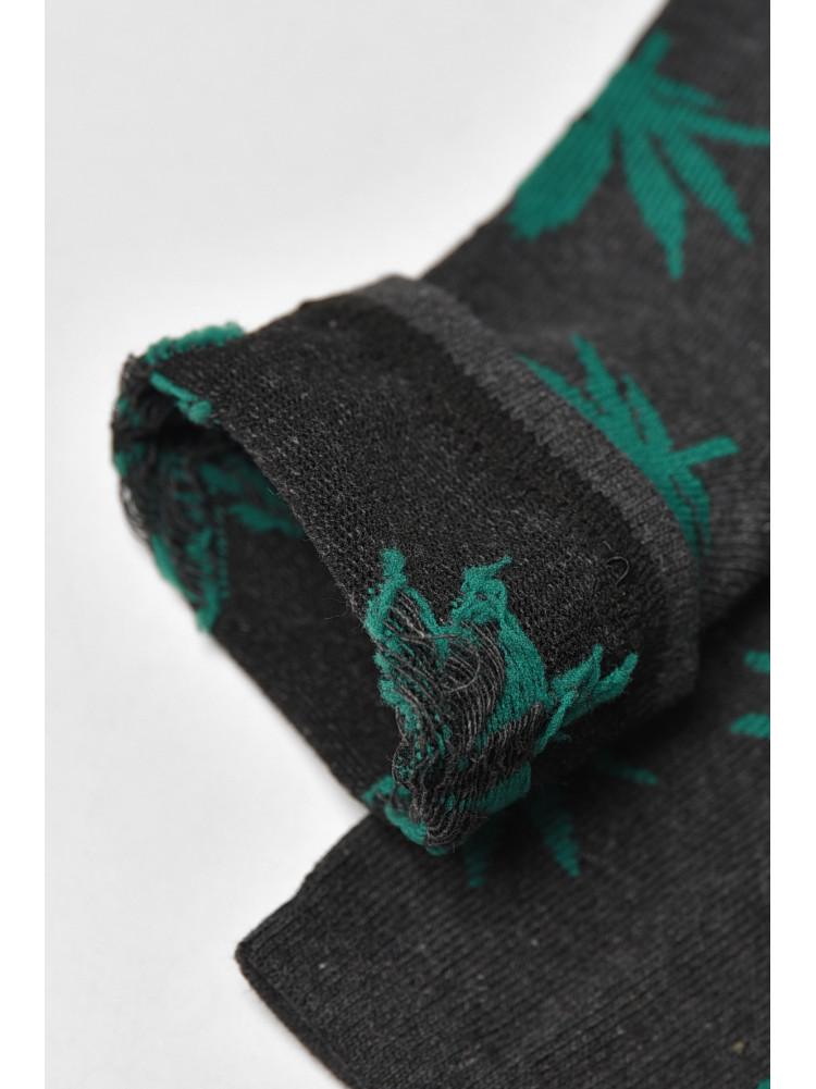 Носки мужские демисезонные серого цвета L167 209849C