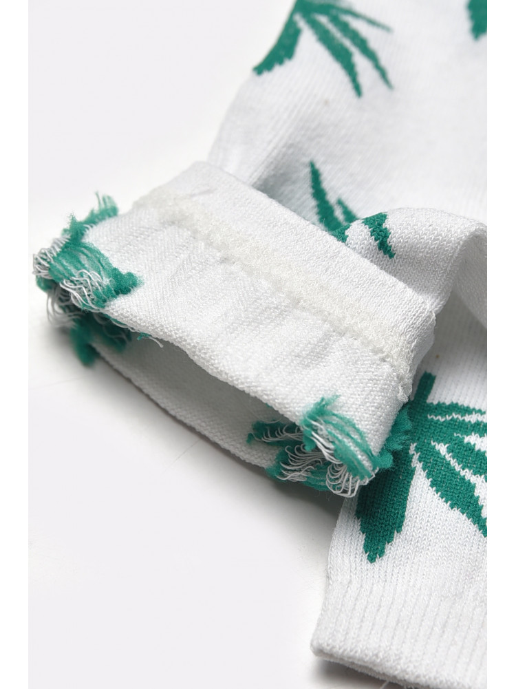 Носки мужские демисезонные белого цвета L167 209850C