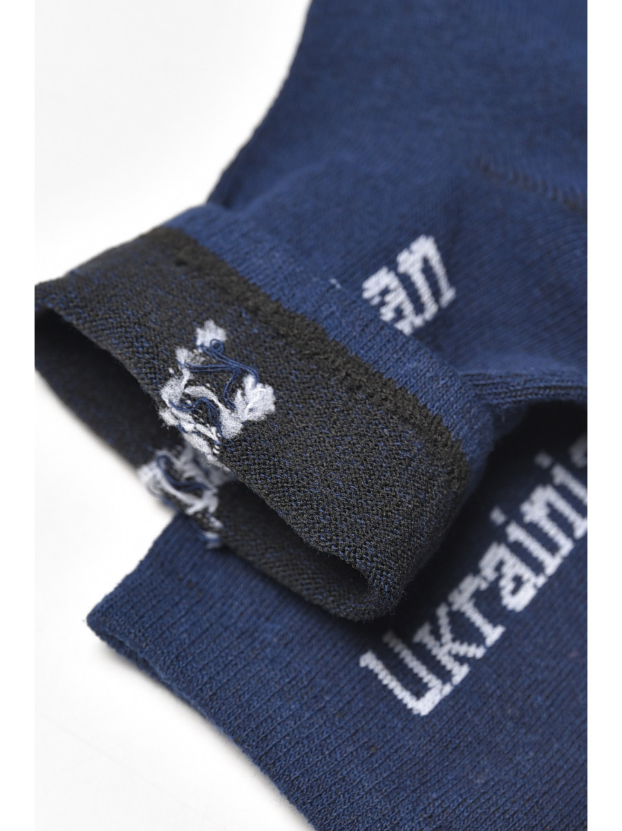 Носки мужские демисезонные синего цвета L189 209863C