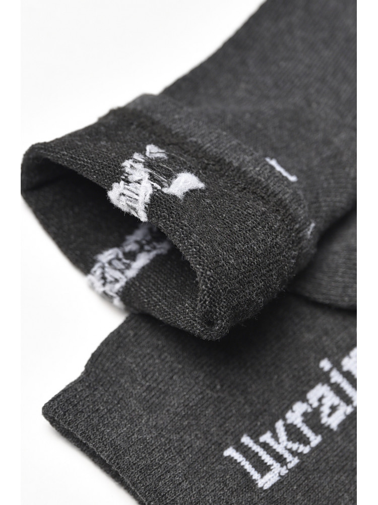 Носки мужские демисезонные тёмно-серого цвета L189 209864C